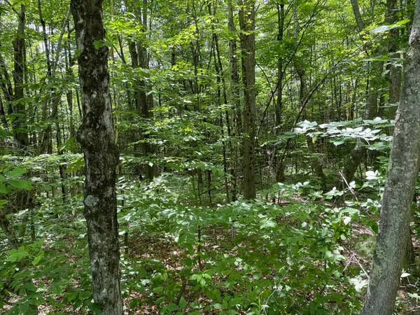 $145,000 | 4-18-3 Old Peterborough Road, Dublin, NH 03444