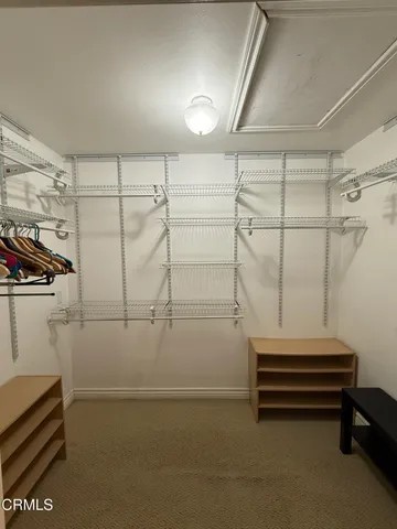 a bathroom with a shower and a toilet