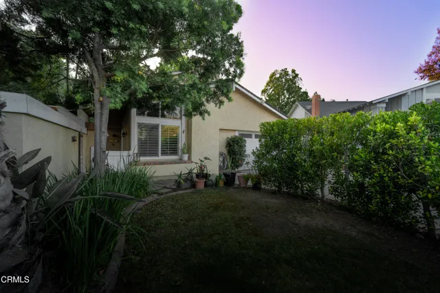 a view of a yard in front of a house with a large tree