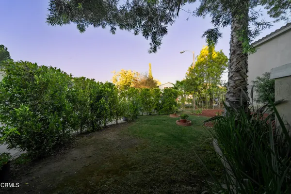 a view of a garden