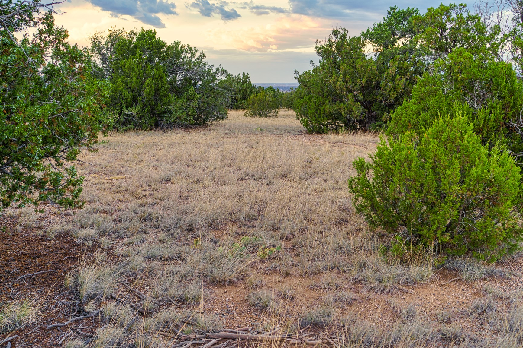 176 Wagon Trail Road Cerrillos, NM 87010 - Photo 7 of 35
