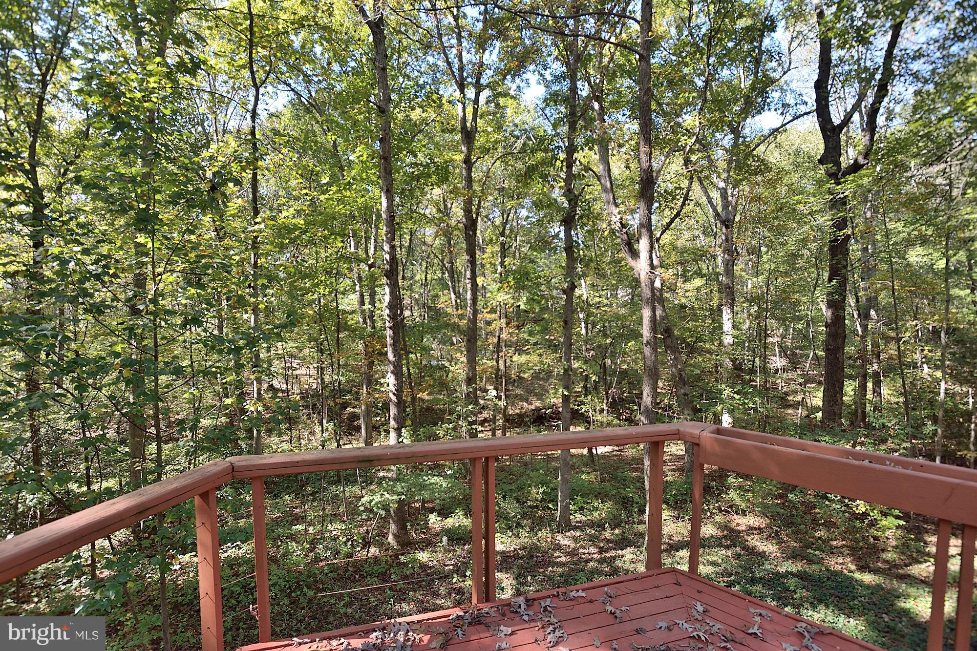 10907 Thanlet Lane Reston, VA 20190 - Photo 25 of 30 Exterior (Rear)