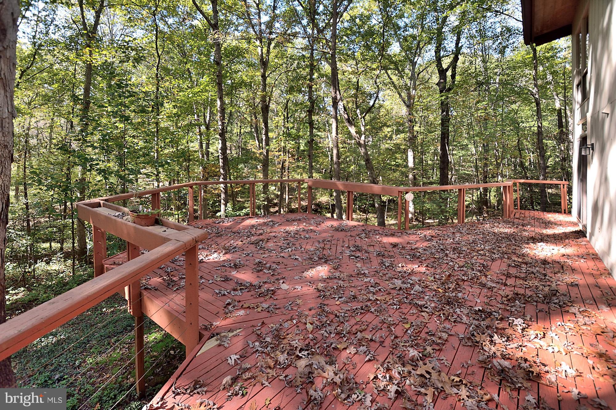 10907 Thanlet Lane Reston, VA 20190 - Photo 6 of 30 Exterior (Rear)