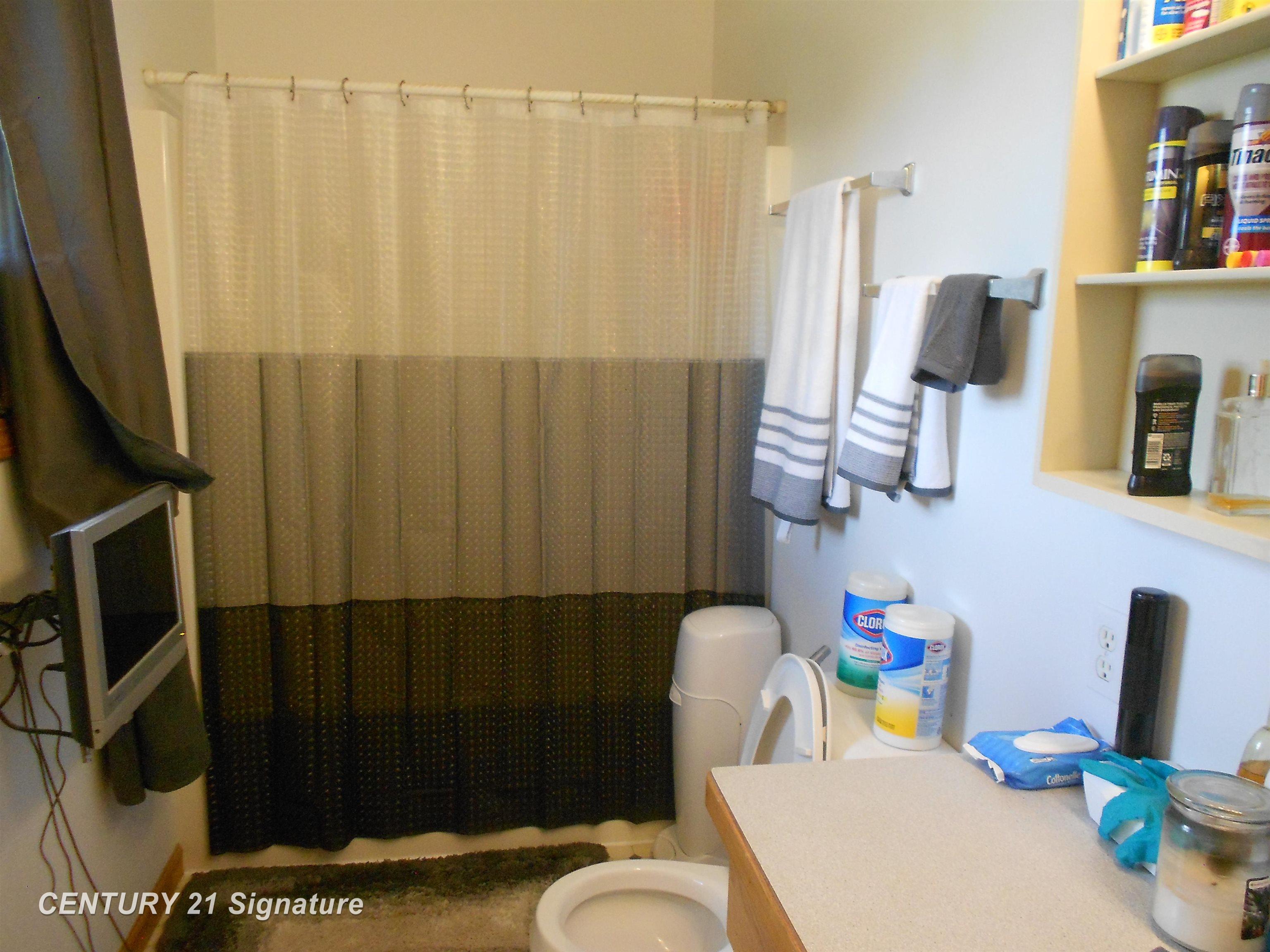 10414 Carter Road Freeland, MI 48623 - Photo 16 of 24 Gallery Image 16