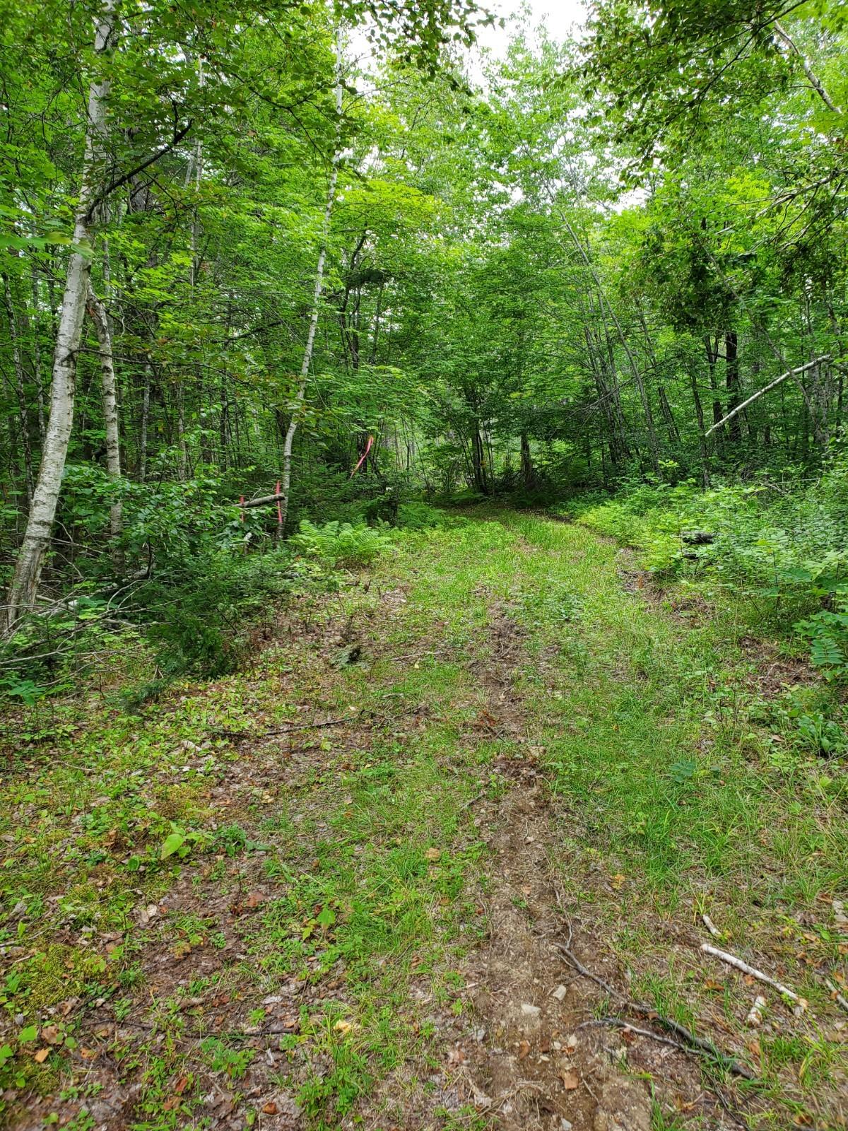 Lot 6 West Off Clubhouse Road Levant, ME 04456 - Photo 3 of 10 20210809_133438