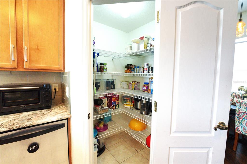 2309 Wolf Ridge Lane Mount Dora, FL 32757 - Photo 20 of 62