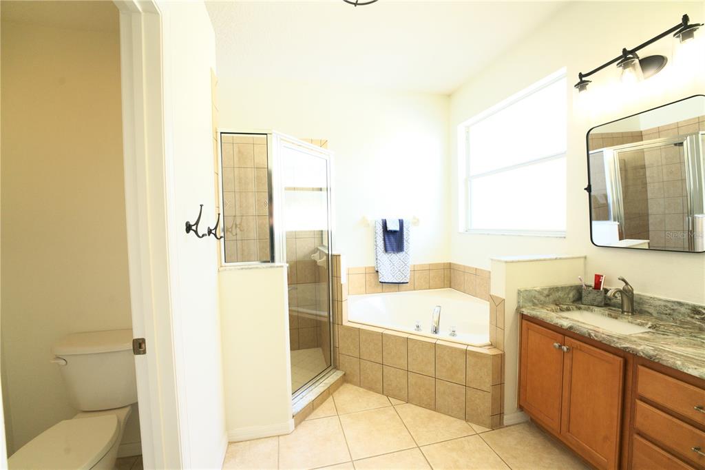 2309 Wolf Ridge Lane Mount Dora, FL 32757 - Photo 42 of 62 a bathroom with a tub sink and mirror