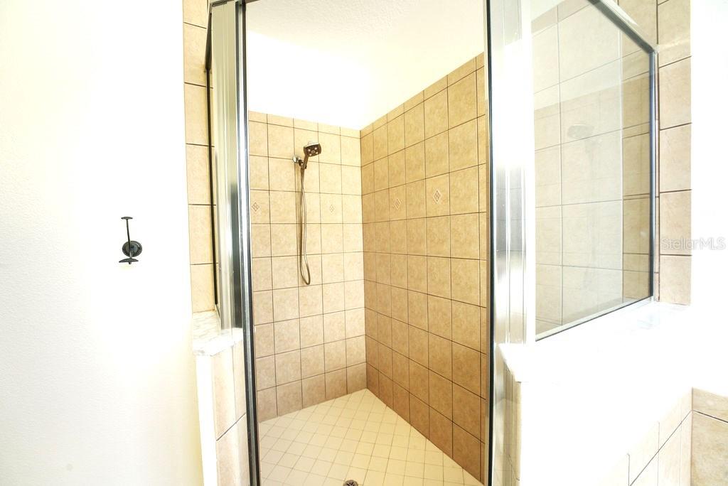 2309 Wolf Ridge Lane Mount Dora, FL 32757 - Photo 43 of 62 a bathroom with a shower