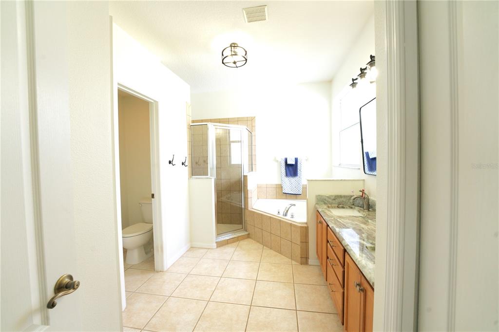 2309 Wolf Ridge Lane Mount Dora, FL 32757 - Photo 45 of 62 a spacious bathroom with a tub and shower