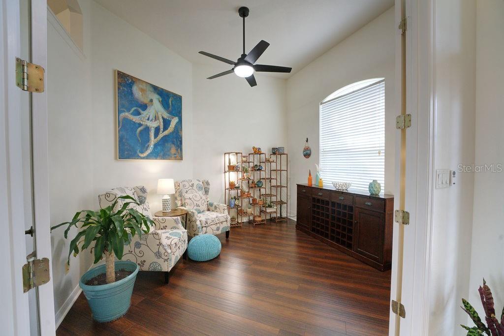 2309 Wolf Ridge Lane Mount Dora, FL 32757 - Photo 6 of 62 a living room with furniture and a potted plant