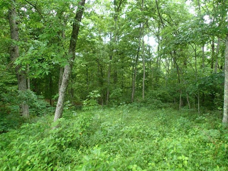 2472 Chaney Road Brooksville, KY 41004 - Photo 22 of 30 Gallery Image 22