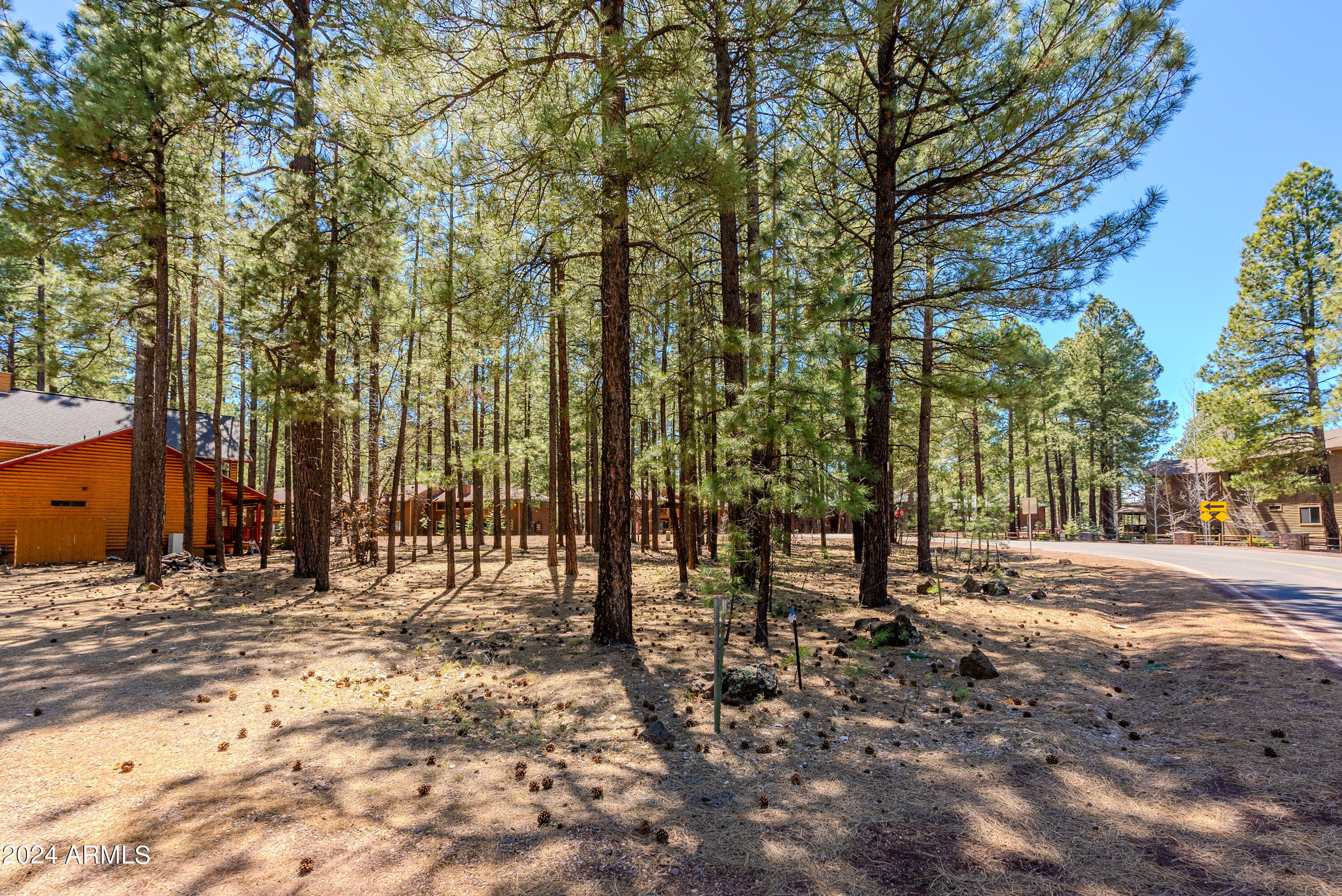 4571 Sky Hi Road Pinetop, AZ 85935 - Photo 14 of 23 4571 Sky Hi-14