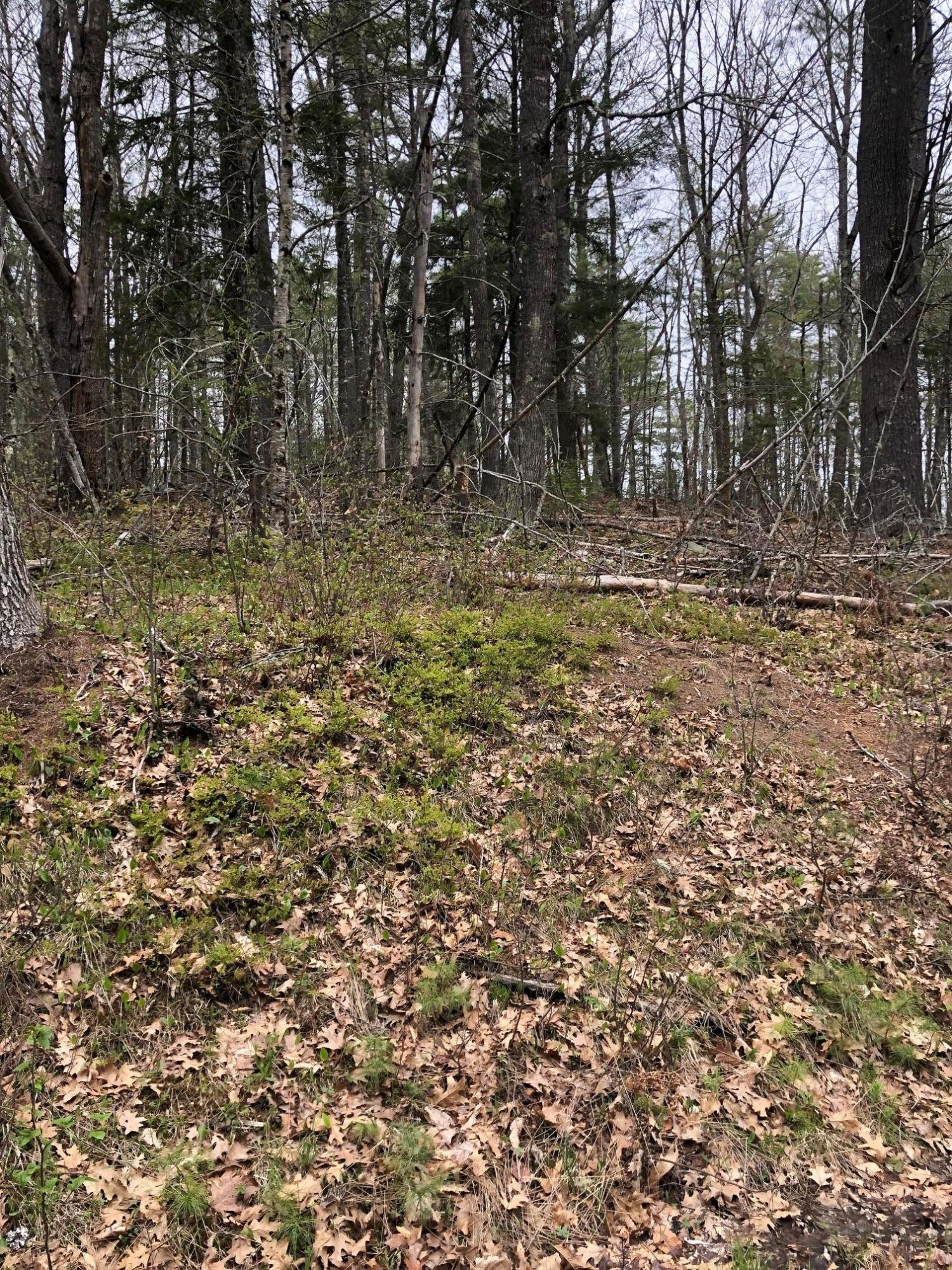0 McCurdy Pond Road Bremen, ME 04551 - Photo 4 of 9 IMG_1374