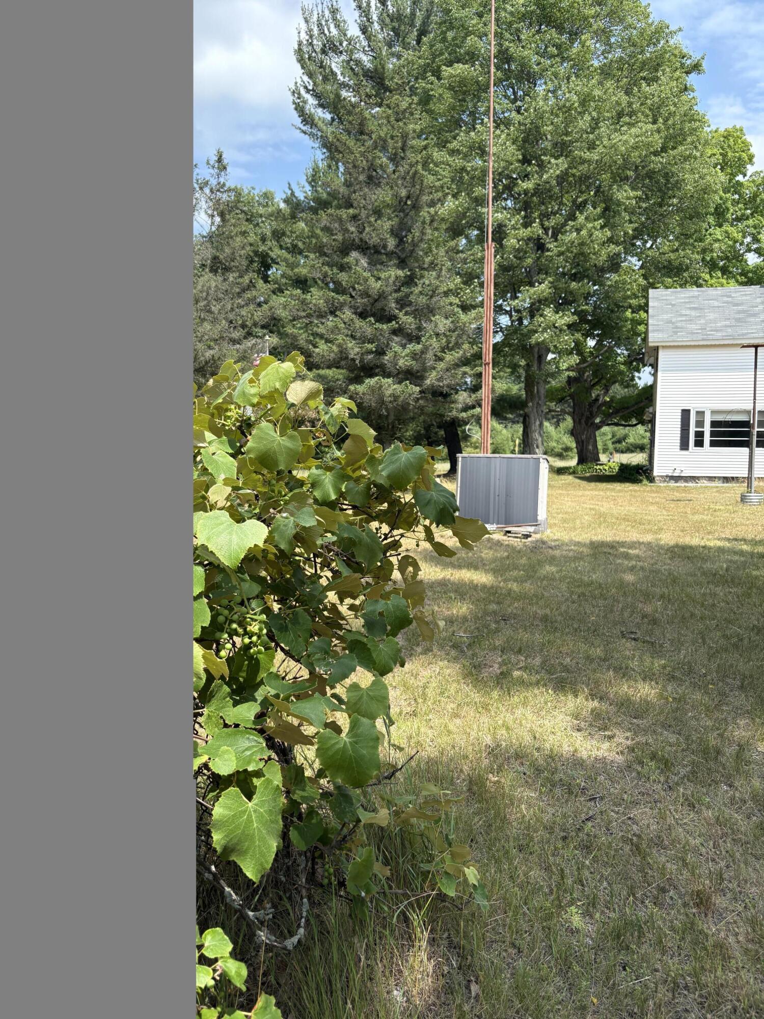 22347 5 Mile Road Morley, MI 49336 - Photo 12 of 77 IMG_4112