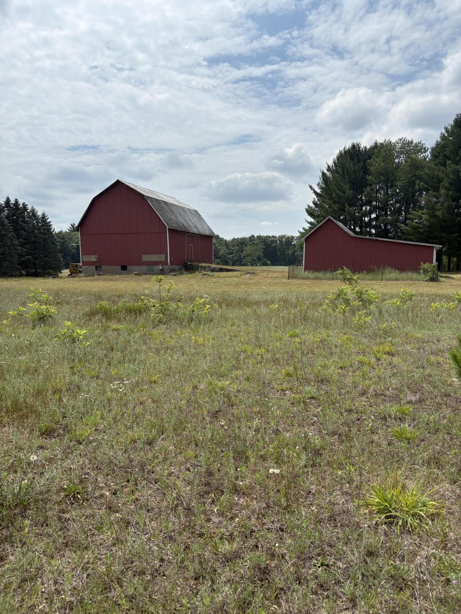 22347 5 Mile Road Morley, MI 49336 - Photo 59 of 77 IMG_4102