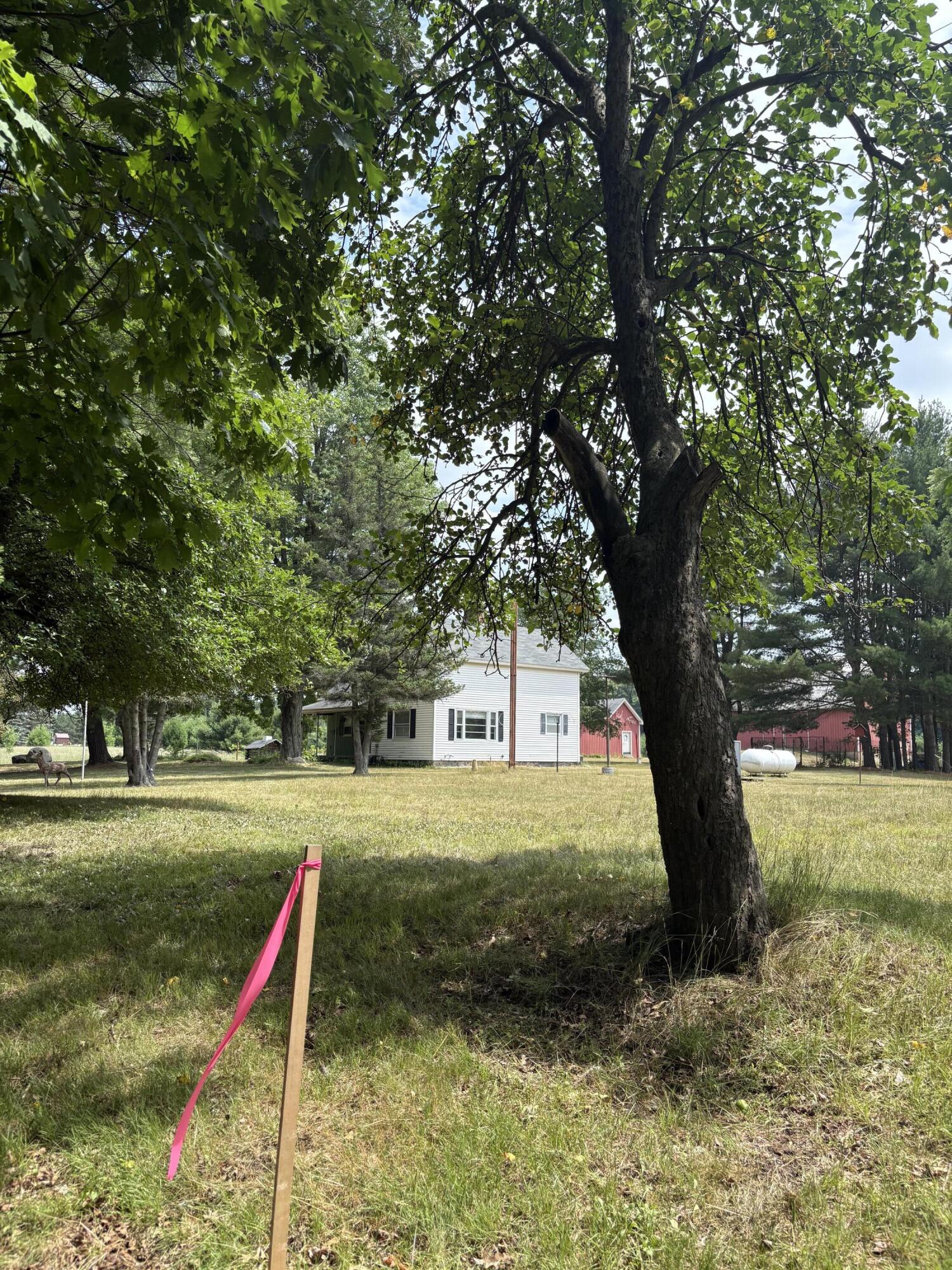 22347 5 Mile Road Morley, MI 49336 - Photo 10 of 77 IMG_4094