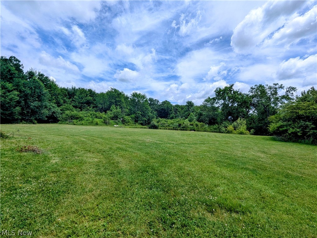 7394 Kniffen Road Painesville, OH 44077 - Photo 10 of 48