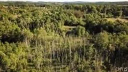 $99,000 | 0 Park Street, Morrisville, NY 13408