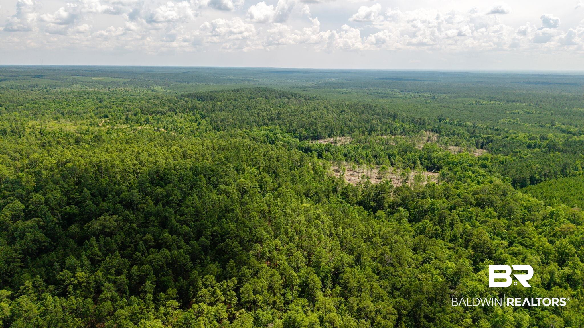 0 Joe Hall Road Bay Minette, AL 36507 - Photo 3 of 13