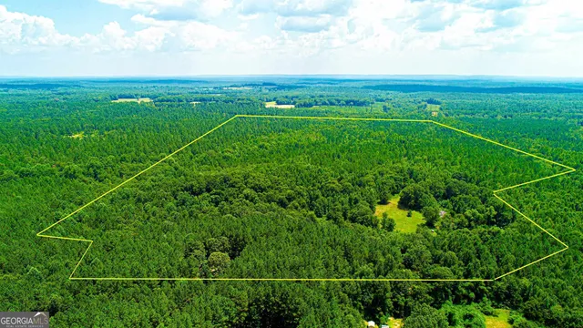 a view of a yard with an ocean