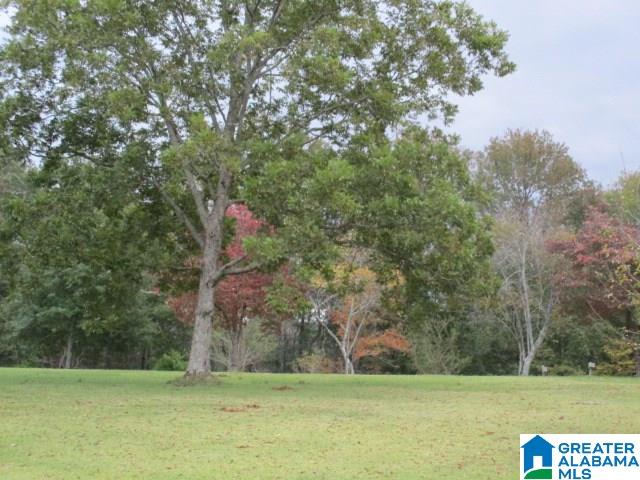 1024 Highway 12 Oneonta Al Oneonta, AL 35121 - Photo 12 of 14
