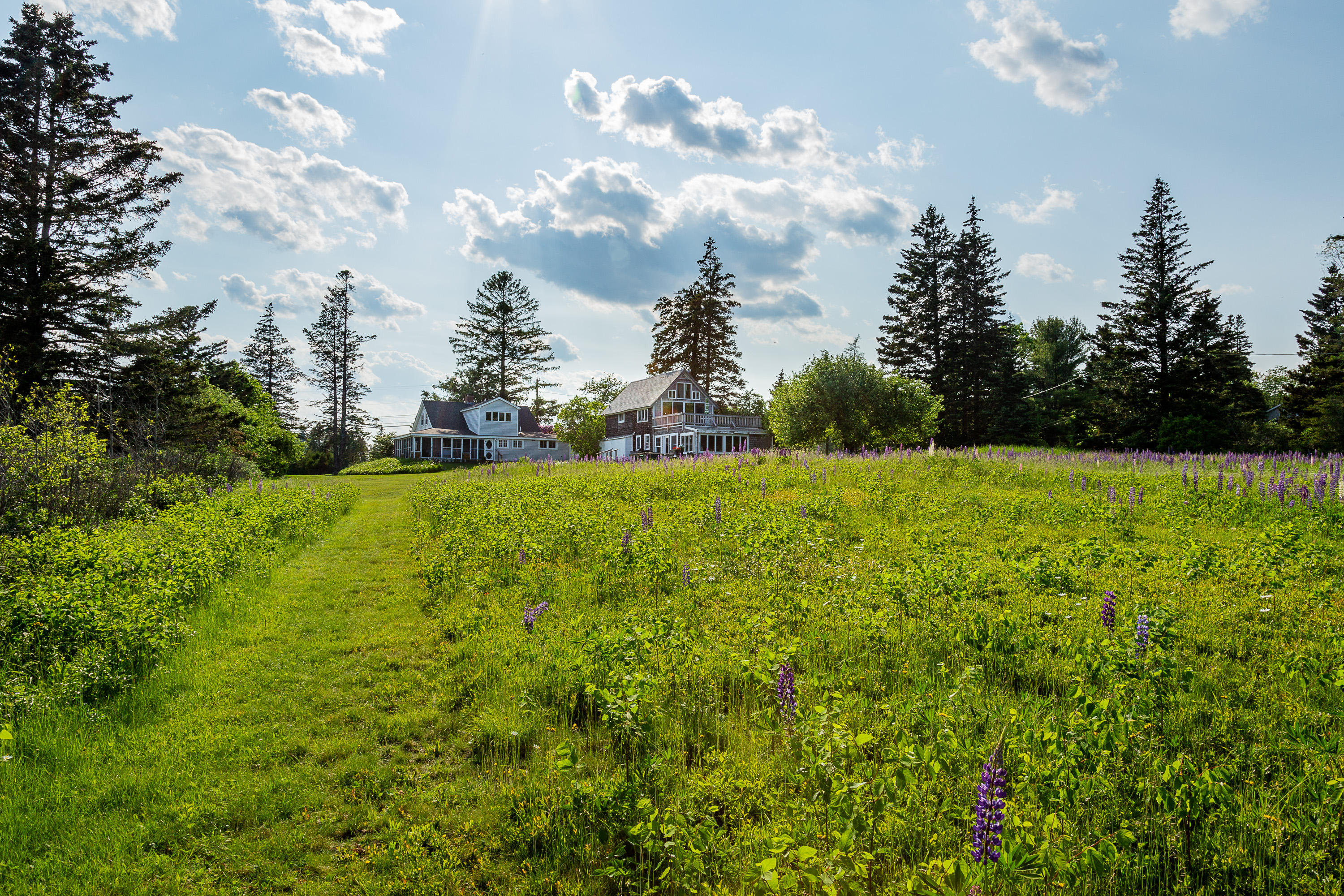 5 Hope Lane St. George, ME 04860 - Photo 2 of 41 5Hope_03_S_print