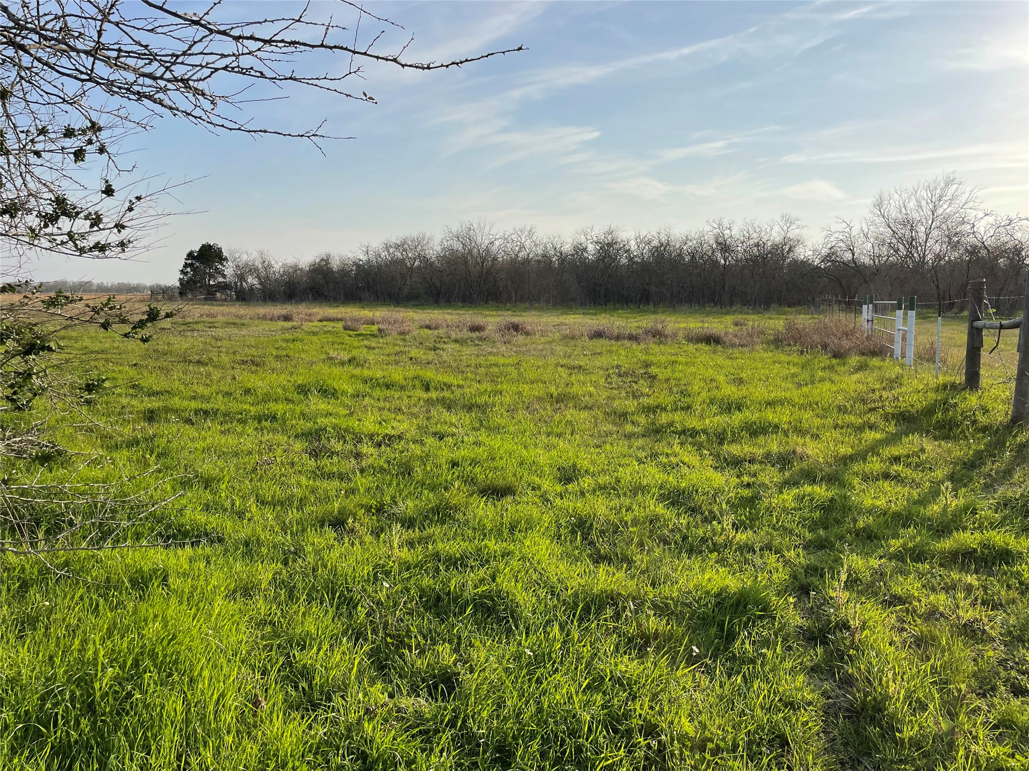 4196 Peters San Felipe Road Sealy, TX 77474 - Photo 7 of 11