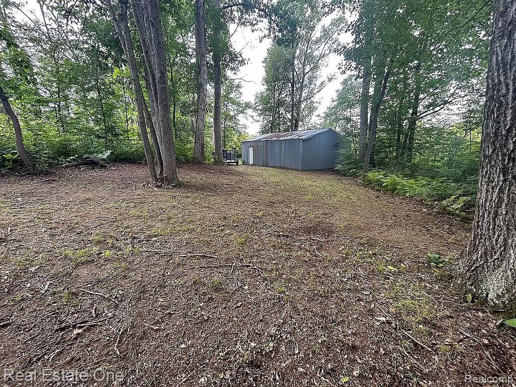 0 Burrows T Drive N Bellevue, MI 49021 - Photo 5 of 10
