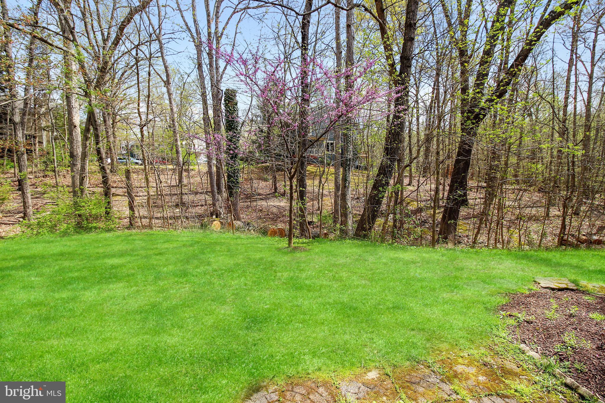 1661 Parkcrest Circle, Unit 100 Reston, VA 20190 - Photo 3 of 20