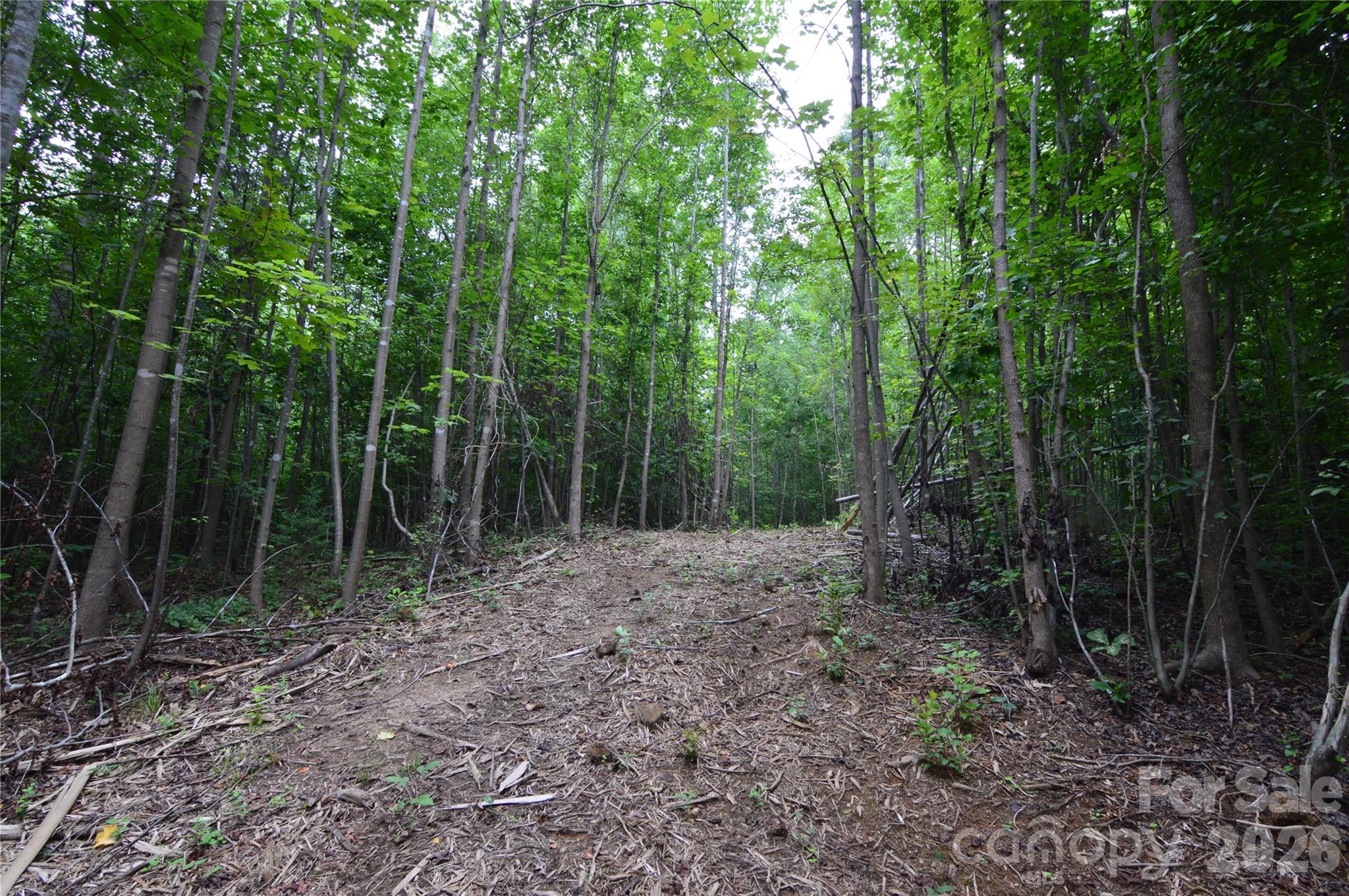 607 Anthony Grove Road Crouse, NC 28033 - Photo 36 of 48 Gallery Image 36