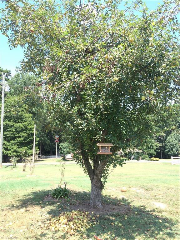 1935 Upper Road Seagrove, NC 27341 - Photo 14 of 26