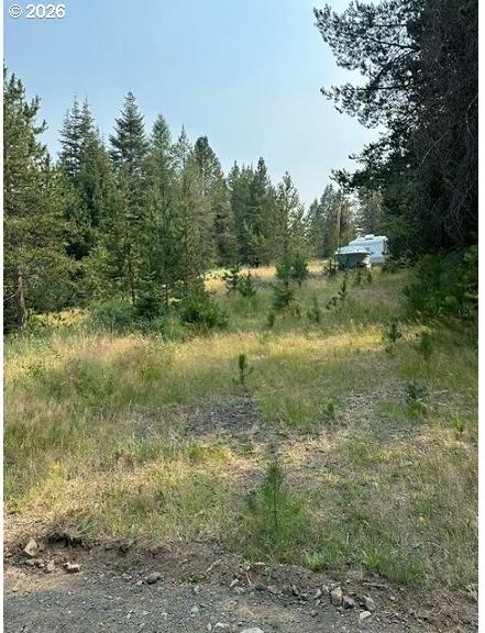 Kamela Loop Meacham, OR 97859 - Photo 4 of 7 Gallery Image 4