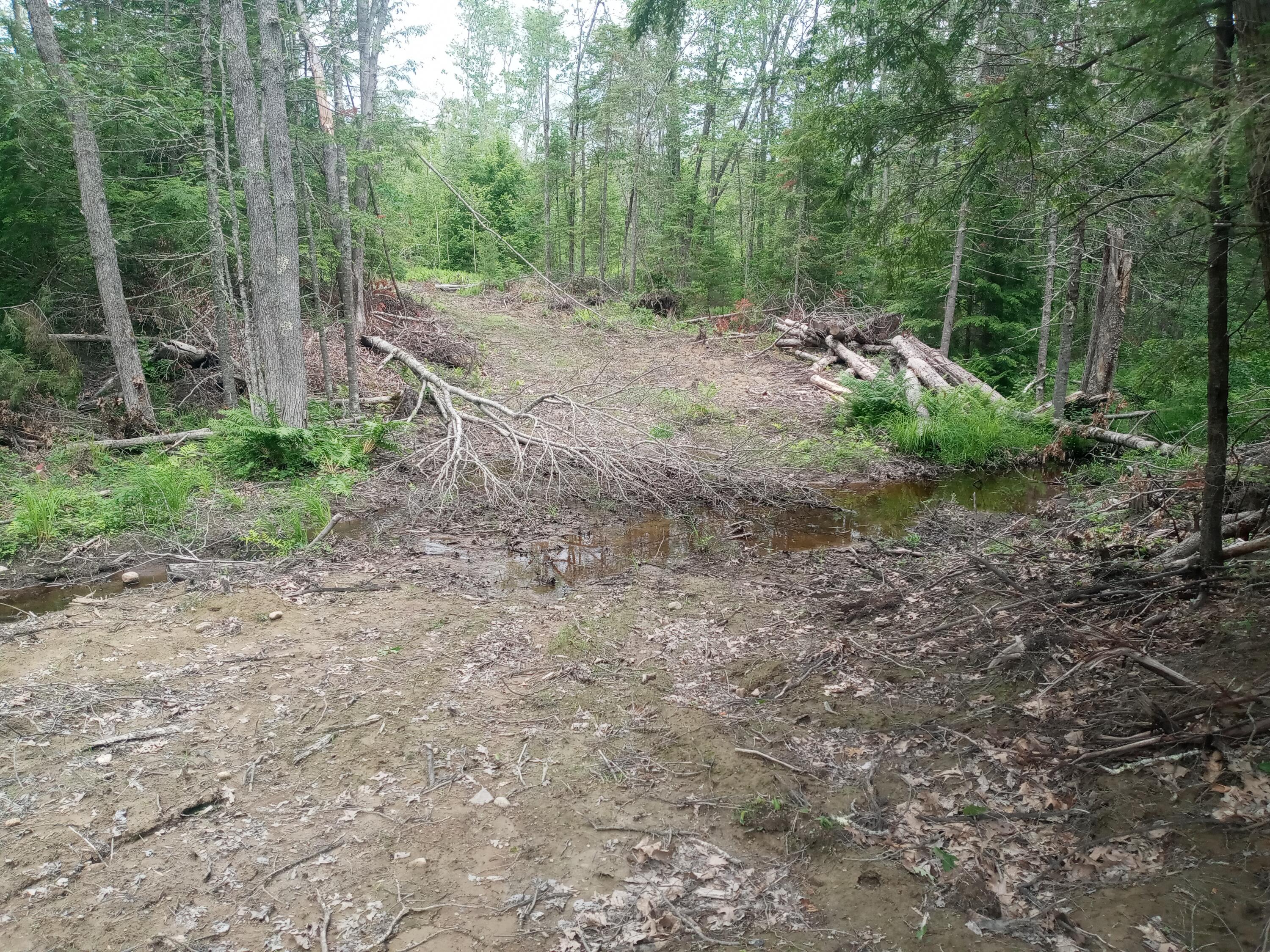 848 Old Stage Road Woolwich, ME 04579 - Photo 14 of 14 20260620_114315