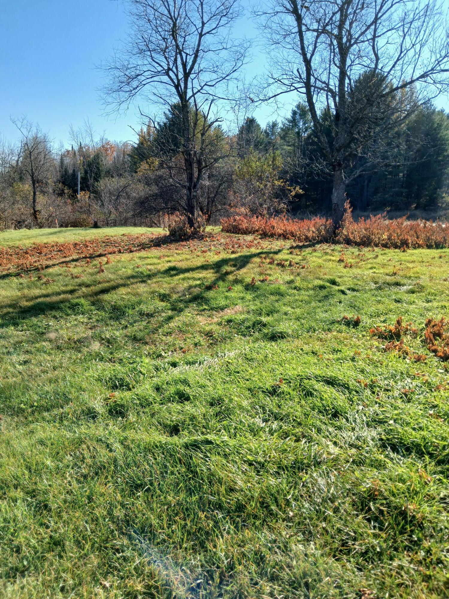 2679 Industry Road Starks, ME 04911 - Photo 15 of 19 Nice lot