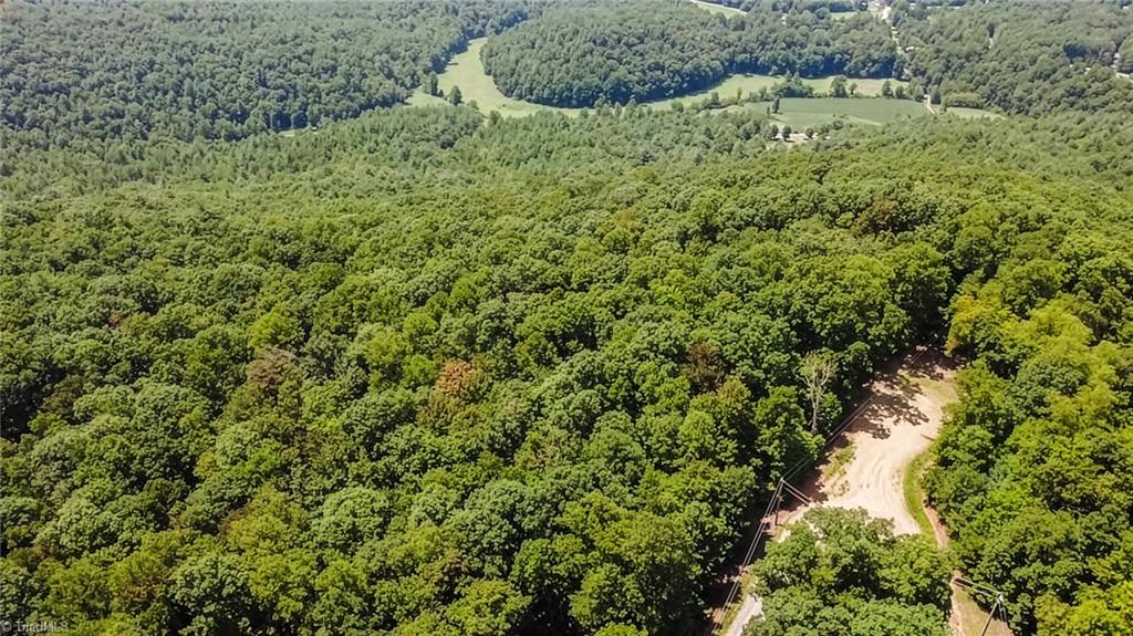 Tbd Spencer Ridge Road McGrady, NC 28649 - Photo 21 of 23 Gallery Image 21