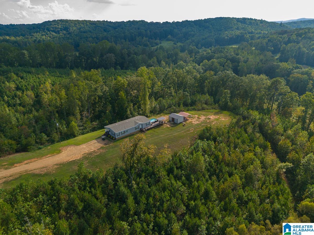 28 County Road 63 Ranburne, AL 36273 - Photo 45 of 47 Gallery Image 45