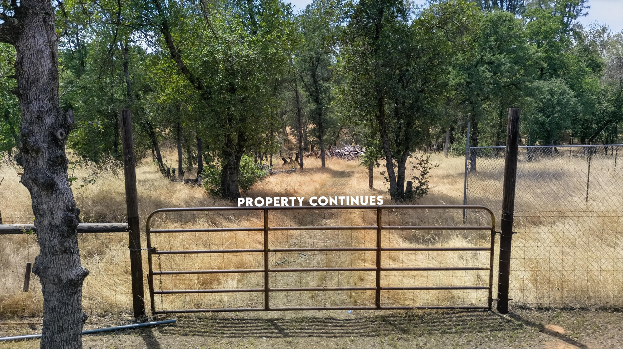 4702 Happy Valley Road Anderson, CA 96007 - Photo 41 of 42 4702 Happy Valley-12