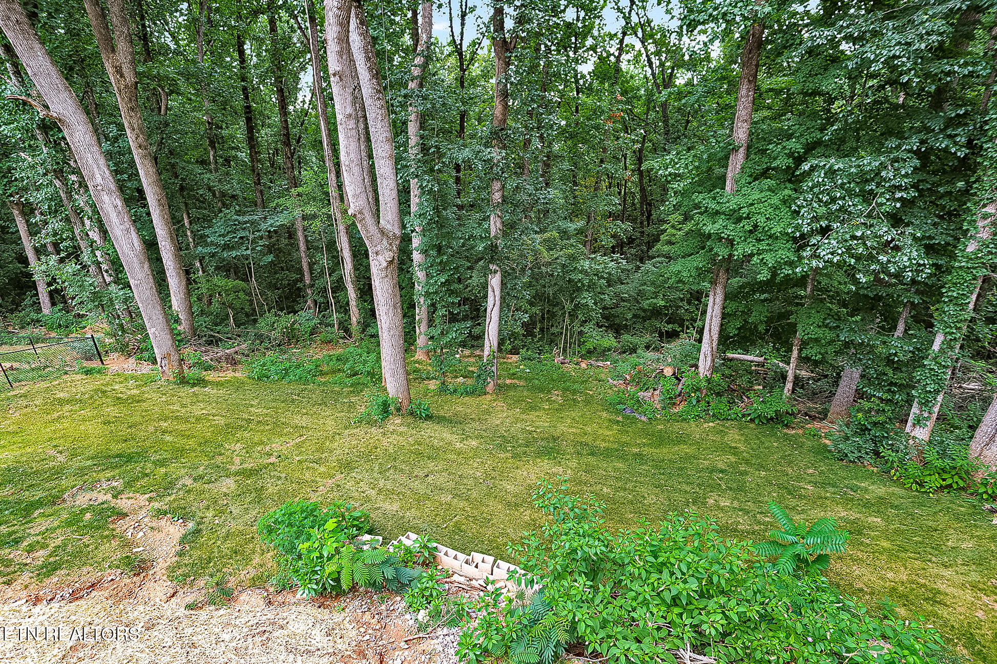 3642 Big Springs Road Friendsville, TN 37737 - Photo 39 of 43 3642 Big Springs Rd-241