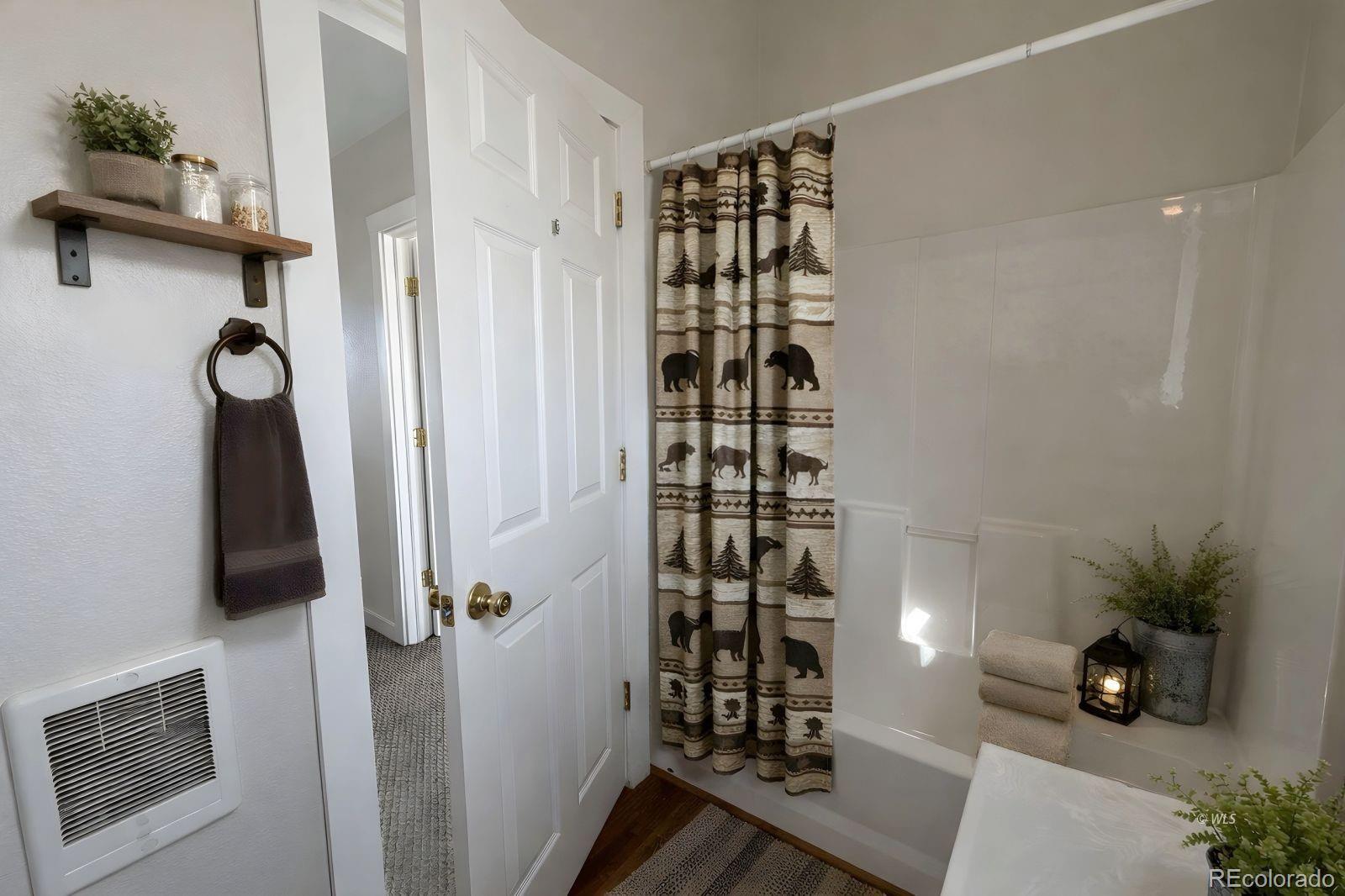 715 2nd Street Silver Cliff, CO 81252 - Photo 15 of 16 a view of entryway with a potted plant