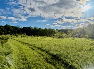 Ridgeview Road Norwich, NY 13815 - Photo 4 of 11