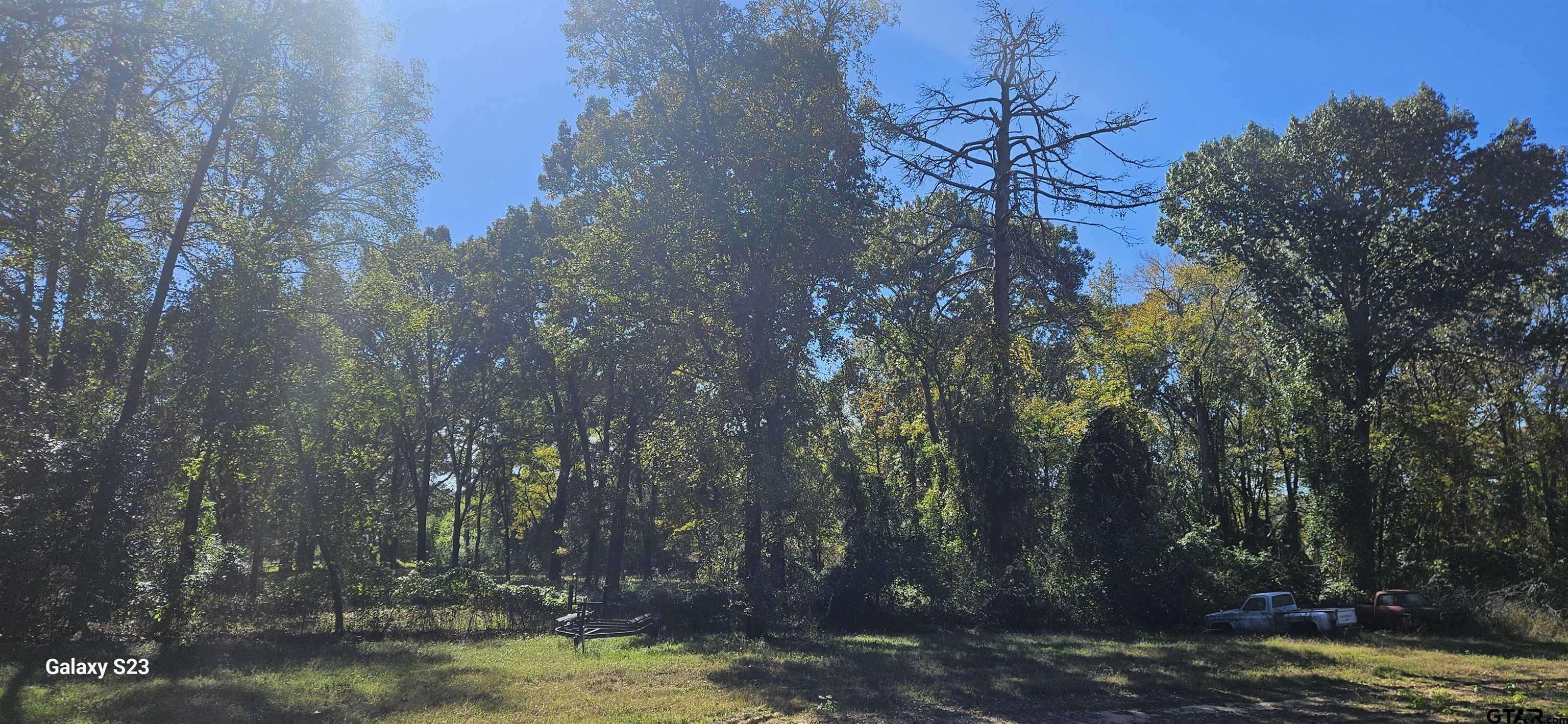 Tbd Walling Drive Tyler, TX 75704 - Photo 3 of 5