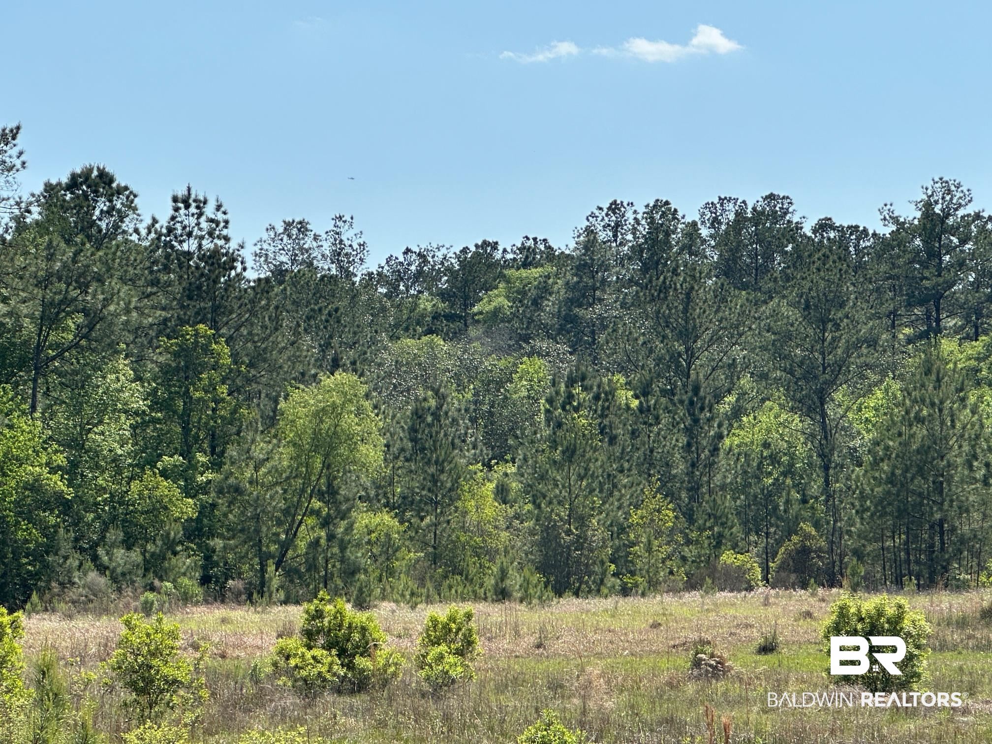 0 I-65 Service Road Satsuma, AL 36572 - Photo 8 of 27 View of nature featuring a wooded view