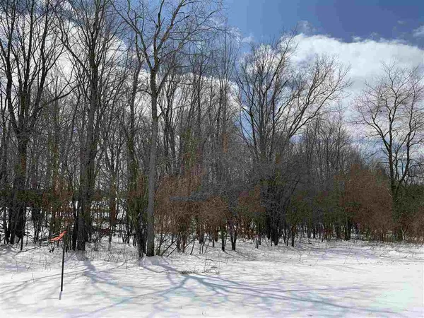 $19,900 | Lot 13 Jason Street, Wittenberg, WI 54499
