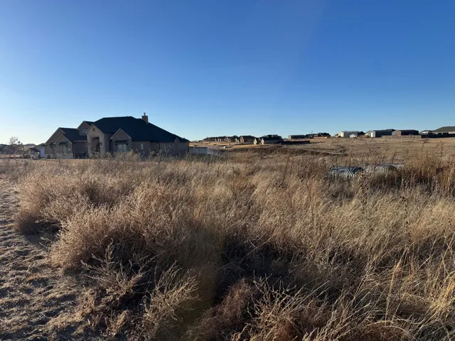 a view of a large building with a mountain in the background