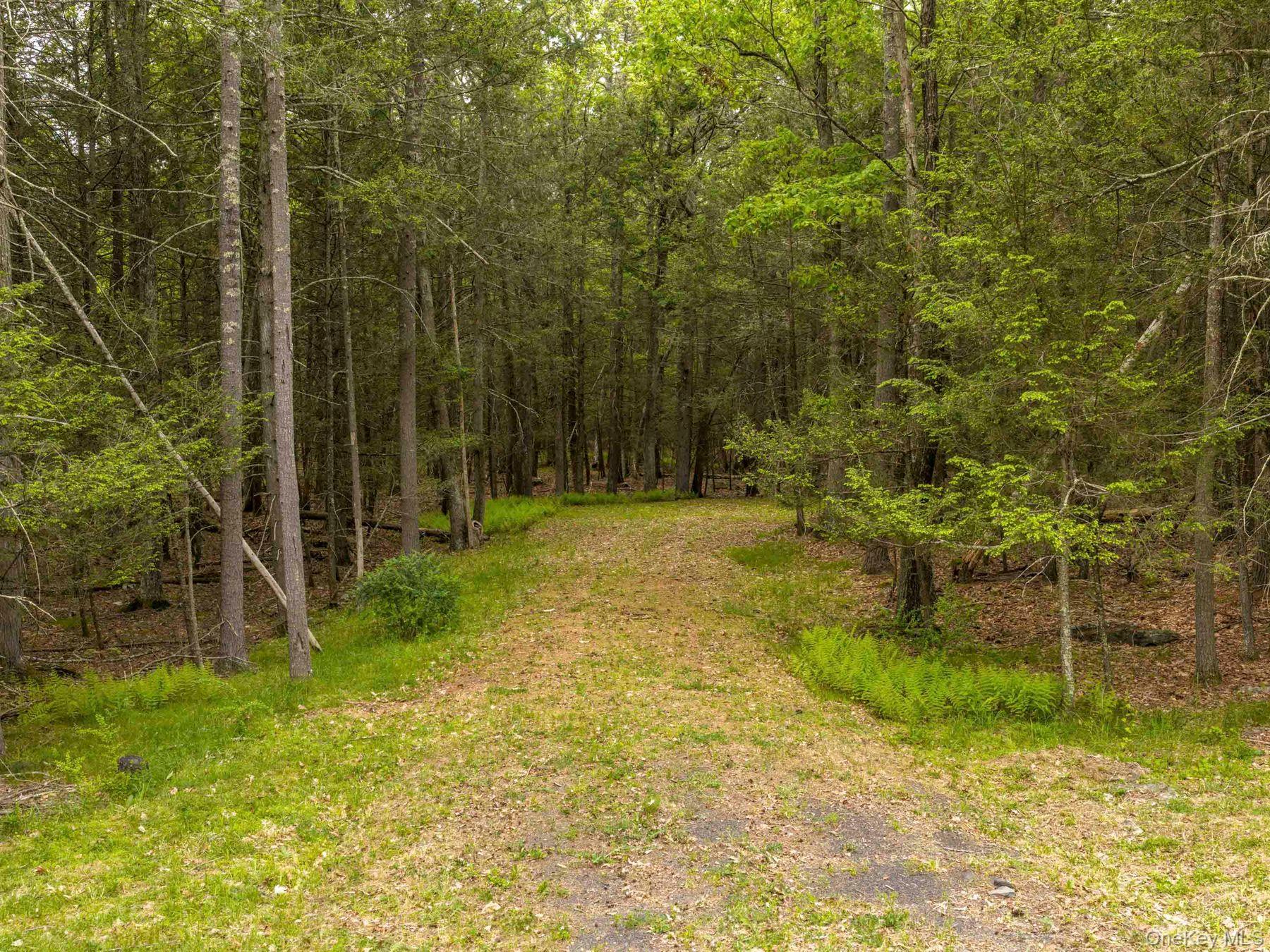 40 Mamoud Hills Road Kingston, NY 12401 - Photo 25 of 42 a view of outdoor space and yard