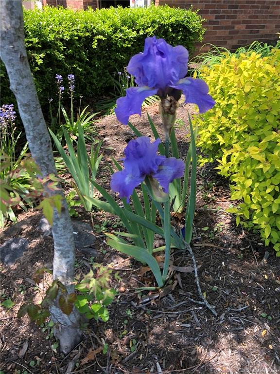 283 Liberty Road Candler, NC 28715 - Photo 32 of 35 Gallery Image 32