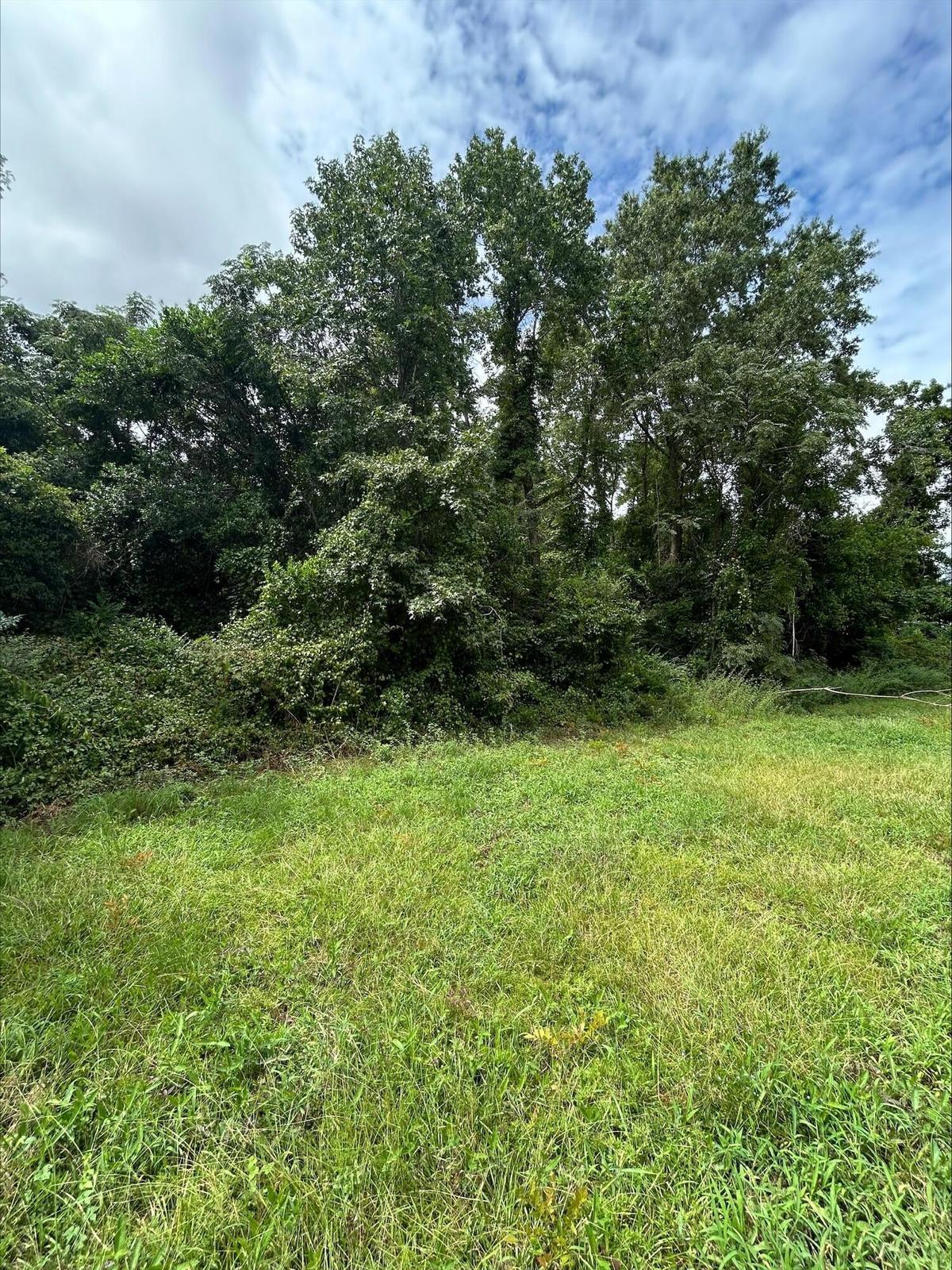 0 Hall Street Summerton, SC 29148 - Photo 6 of 6 20260226143857044108000000-o