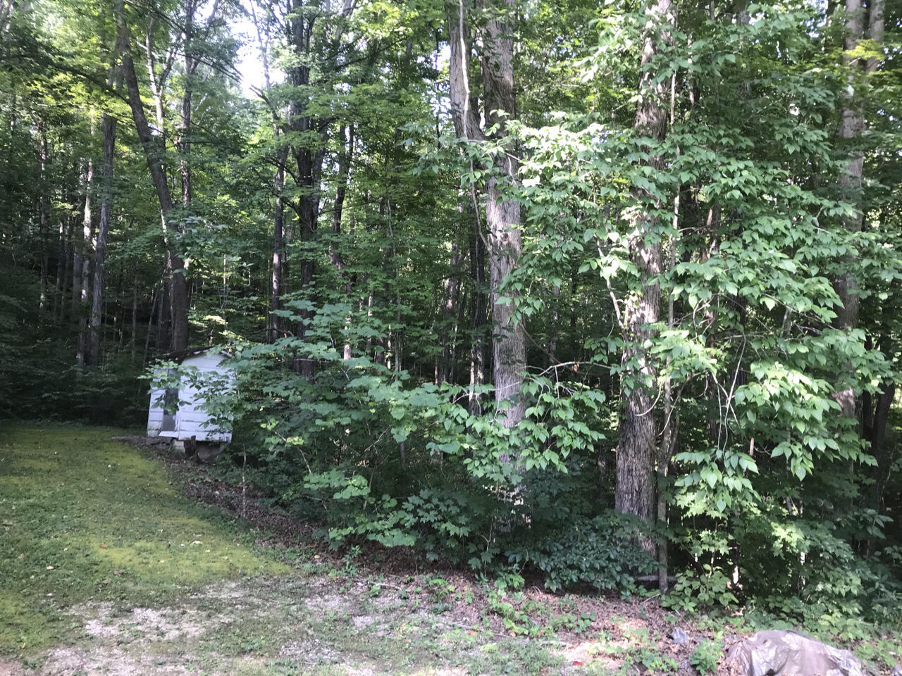 100 Igo Road Morehead, KY 40351 - Photo 24 of 25 19D054F4-7A1F-4658-8CB1-B433EF4968F6