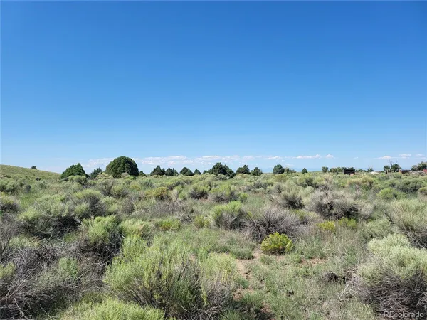 a view of a bunch of trees in a field