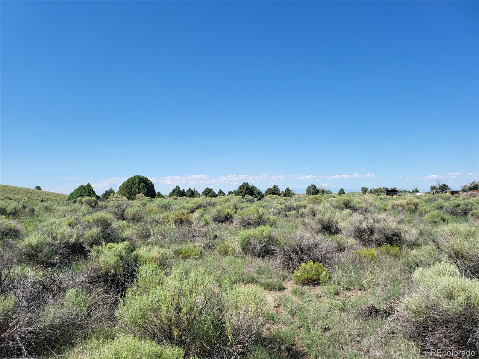993 Pinon Road Crestone, CO 81131 - Photo 13 of 42 a view of a bunch of trees in a field